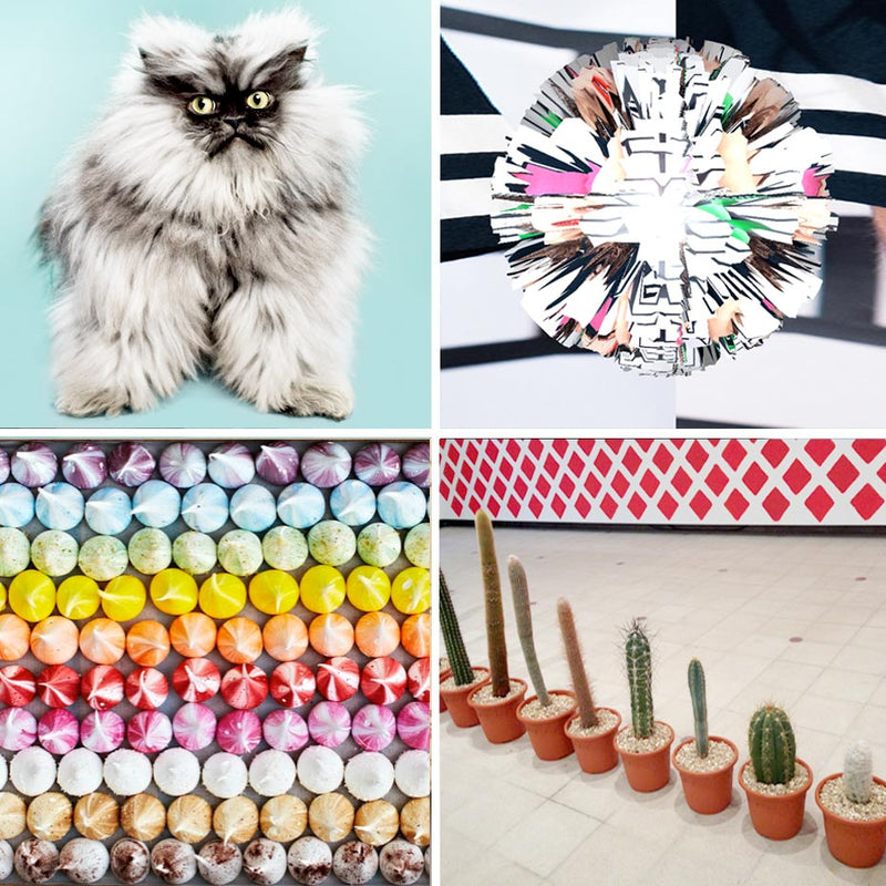 SEE YOU NEXT TUESDAY : UGLY CATS, VIRTUAL ART & MERINGUE MADNESS
