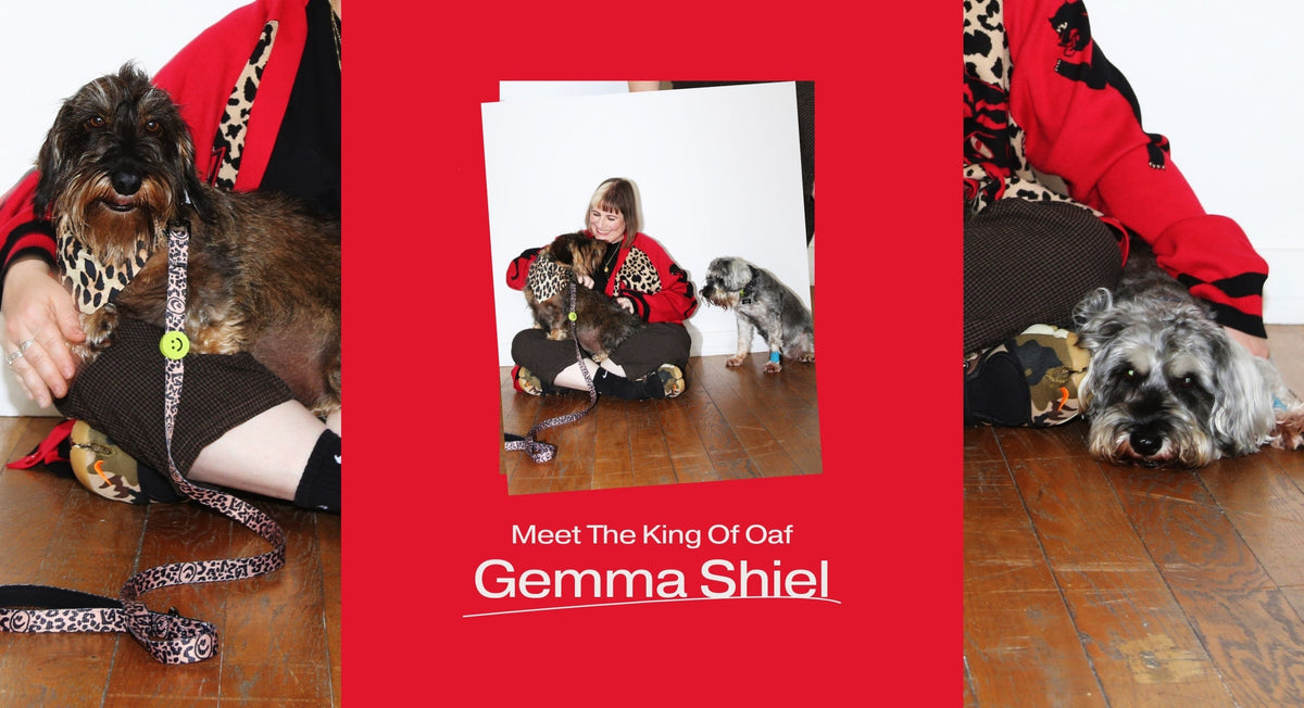 MEET THE KING OF OAF, GEMMA SHIEL