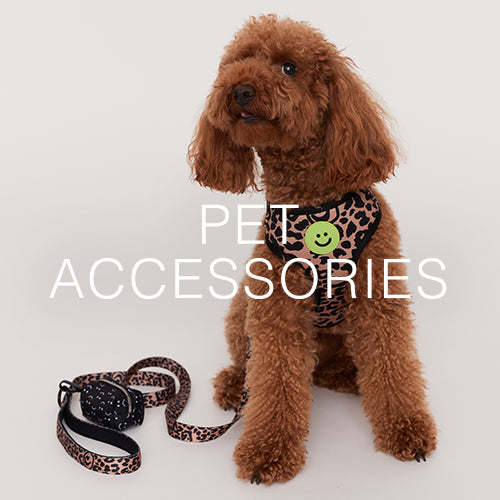 pet-accessories