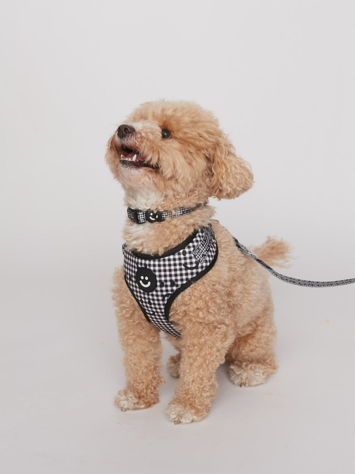 Happy Sad Gingham Dog Collar