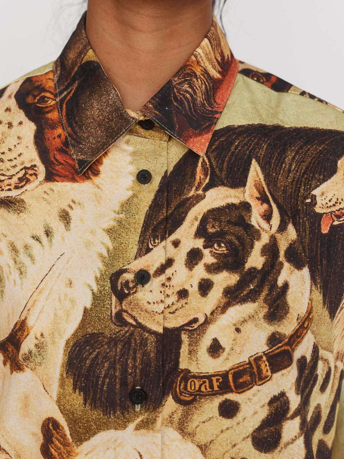 Doggy Day Care Shirt