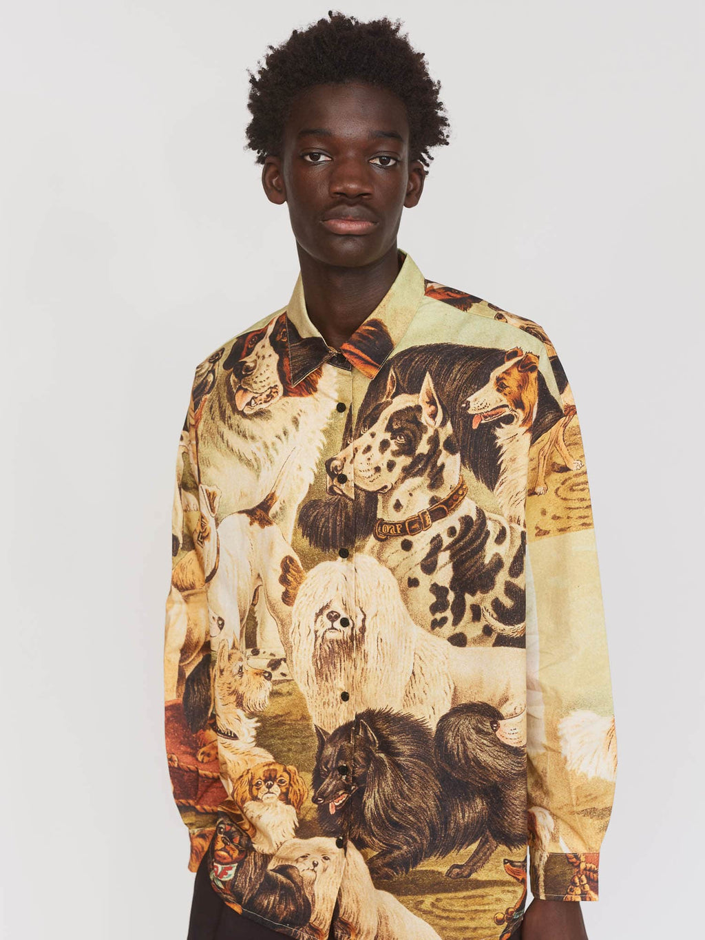 Collection-men-landing, collection-men-new-in-1, collection-mens, collection-mens-shirts, model:Elhadj wears size L and is 6’1” , collection-all-shirts, 