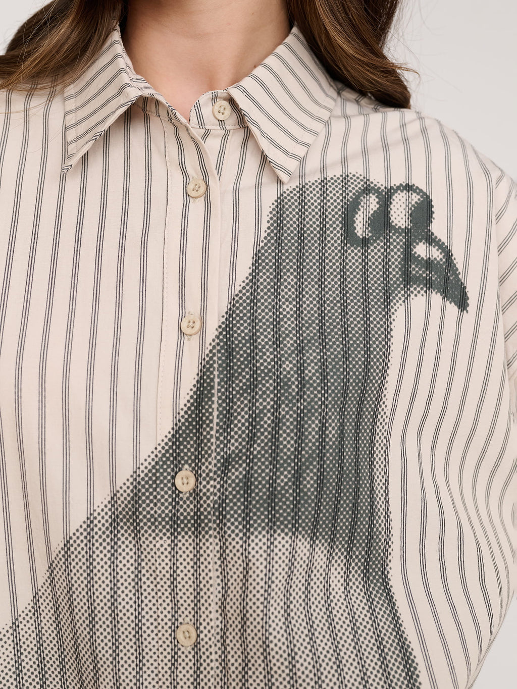 Pigeon Striped Long Sleeve Shirt