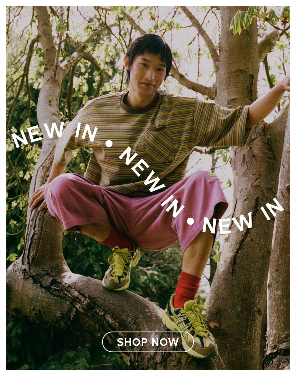 Men – Lazy Oaf