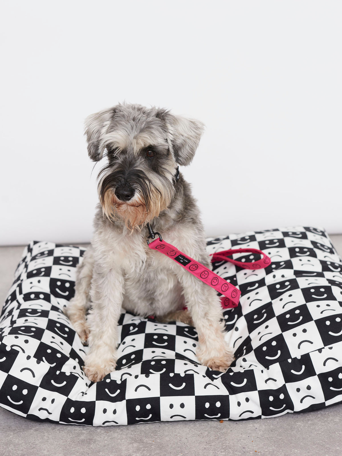 Lazy Oaf Happy Sad Dog Floor Cushion
